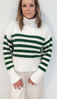 Evergreen Stripe Sweater￼ -Final Sale